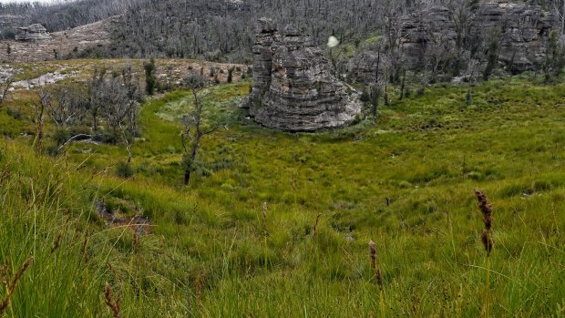 ‘Victory for nature’: Coal miner cuts plan in Blue Mountains