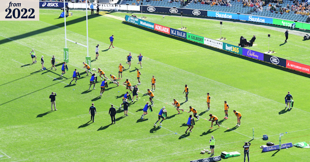 Springbok apologises for high school urination