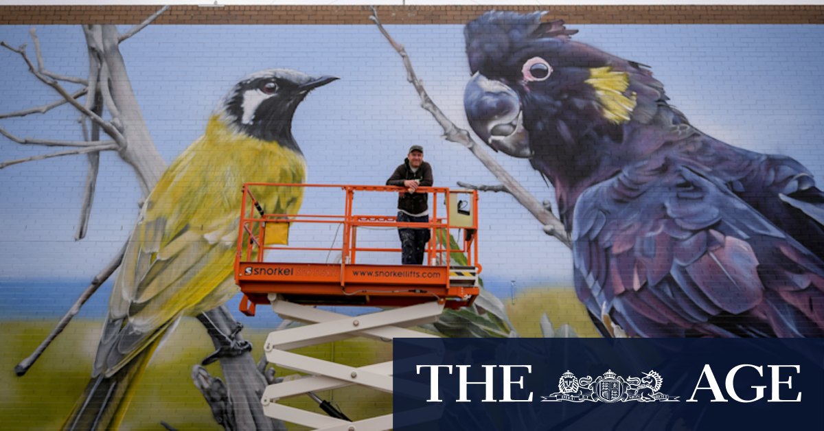 Wonthaggi seeks rejuvenation through art, laneways and nature - Vimarsana News