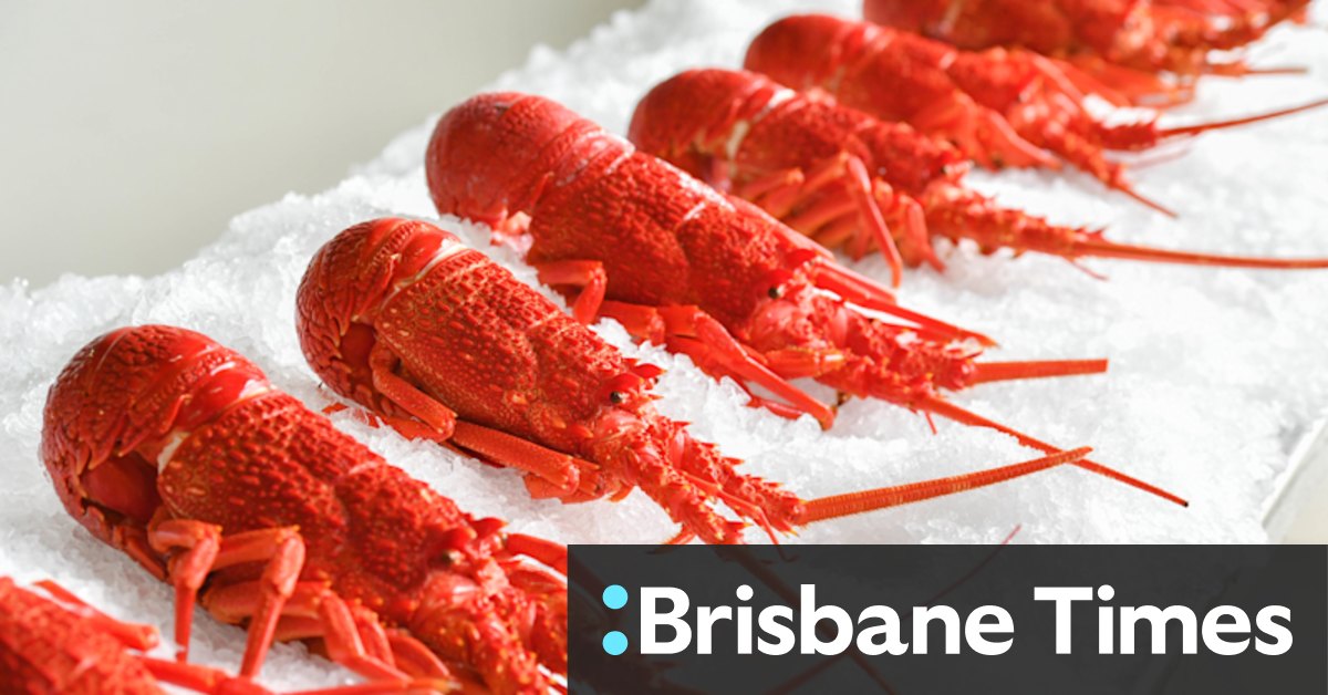 Seafood cheaper but staples will cost more this Christmas - Vimarsana News