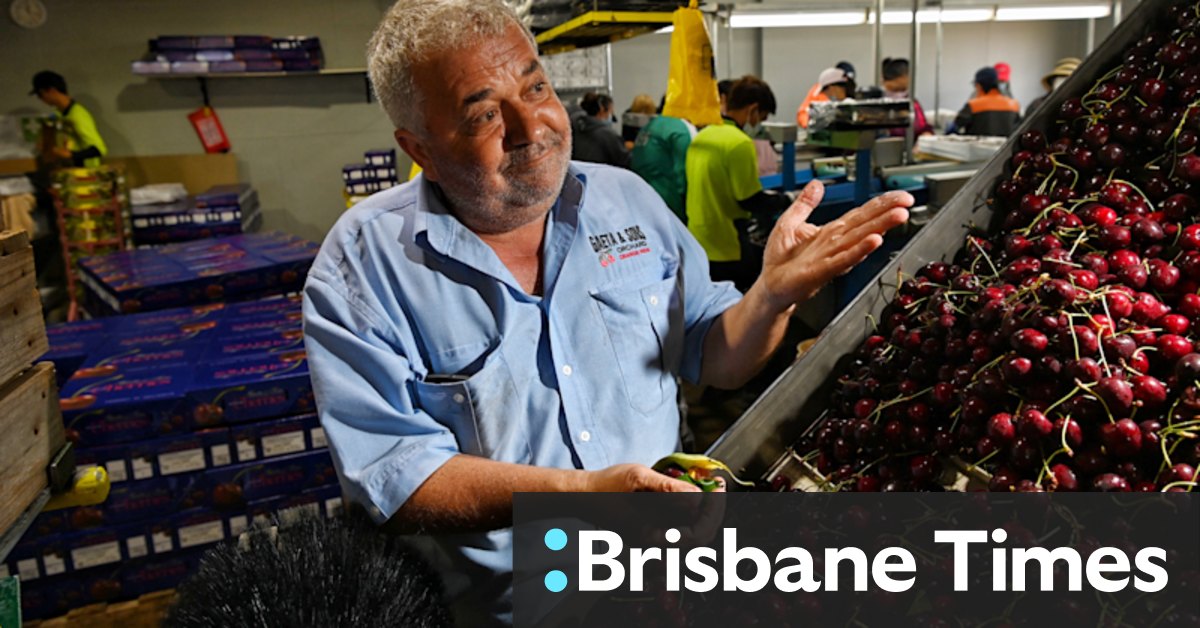 'There's no shortage': Independent grocers a winner in supply chain debacle - Vimarsana News