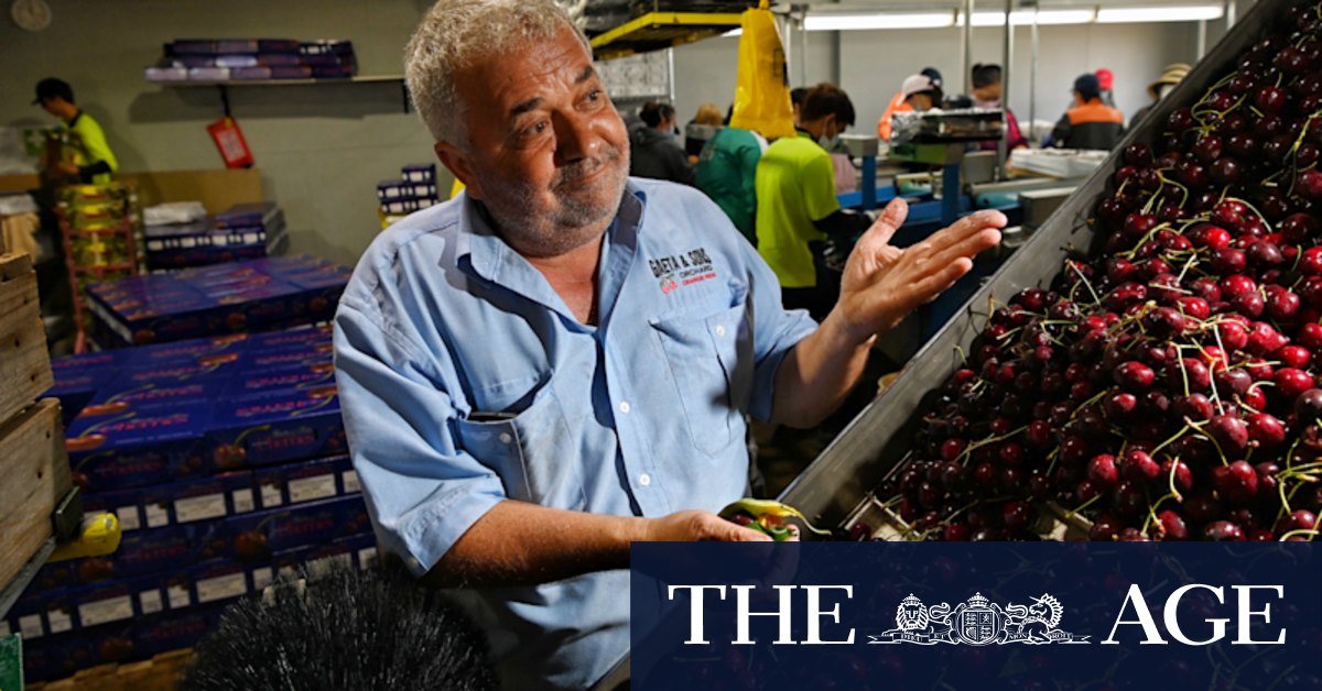 'There's no shortage': Independent grocers a winner in supply chain debacle - Vimarsana News
