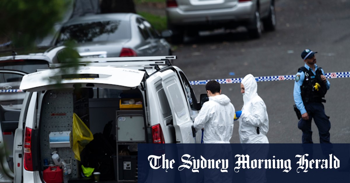Brownie Ahmad,Tarek Zahed, Mejid Hamzy: Sydney's gangland violence takes its toll - Vimarsana News