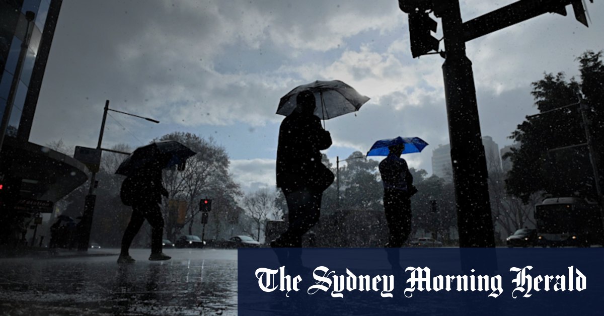 Thunder and hail to batter Sydney after balmy start to Friday