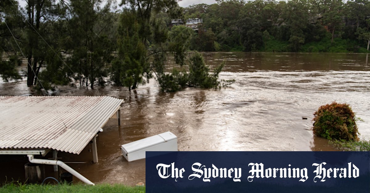 NSW floods: Don't build in flood prone areas, resilience boss says - Vimarsana News