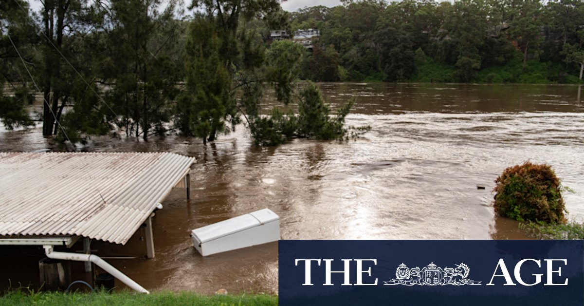 NSW floods: Don't build in flood prone areas, resilience boss says - Vimarsana News