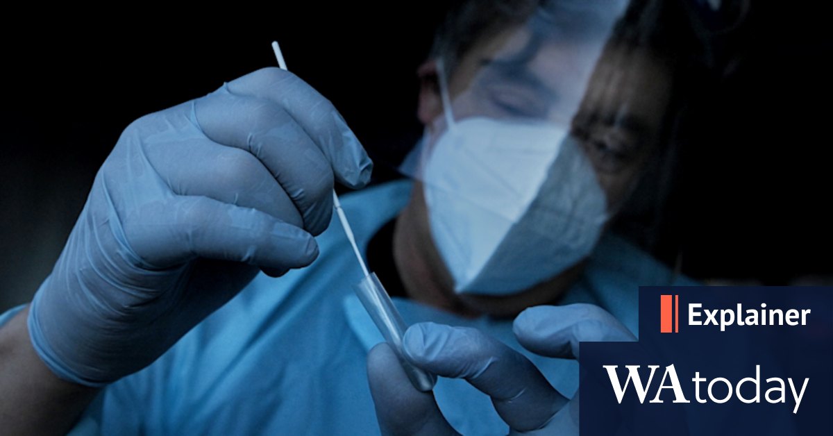 How do rapid antigen tests work and how reliable are they? - Vimarsana News