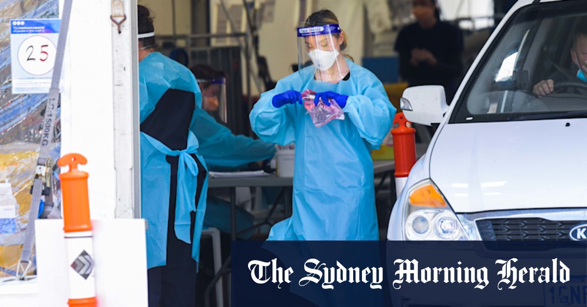 NSW records 7615 new COVID-19 cases and 12 deaths as restrictions ease - Vimarsana News