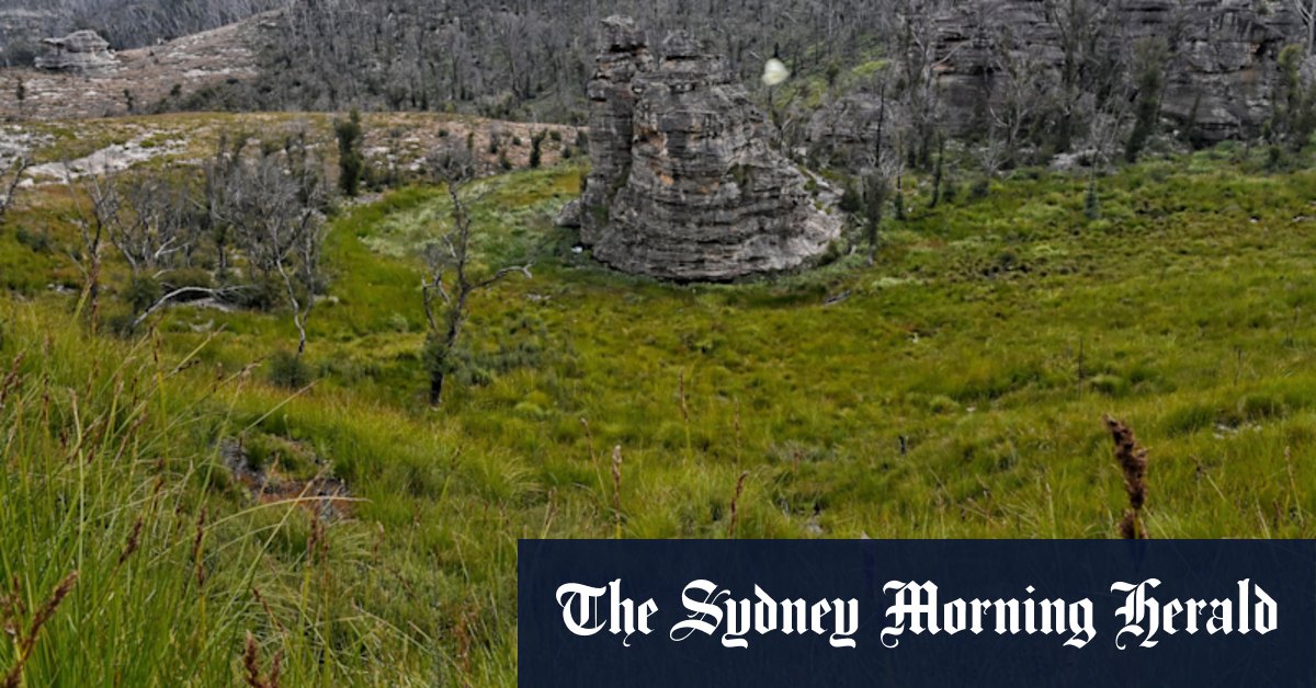 'Victory for nature': Coal miner cuts plan in Blue Mountains - Vimarsana News