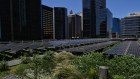 There are 17,000 plants on the rooftop of Daramu House to keep the temperature down and maximise the efficiency of the solar panels, as well as 'insect hotels' to encourage native bees to the area.