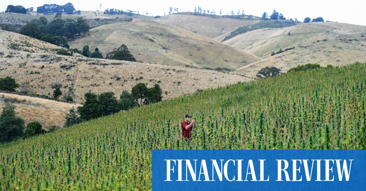 Merricks Capital tips $40m into SA port refinance - Vimarsana News