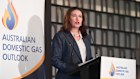 Opposition resources spokeswoman Susan McDonald at the Australian Domestic Gas Outlook conference on Wednesday. 