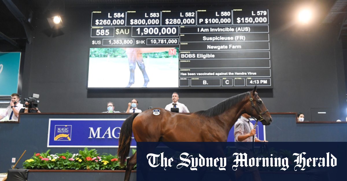 ‘The sale of a lifetime’: Magic Millions sets remarkable record marks