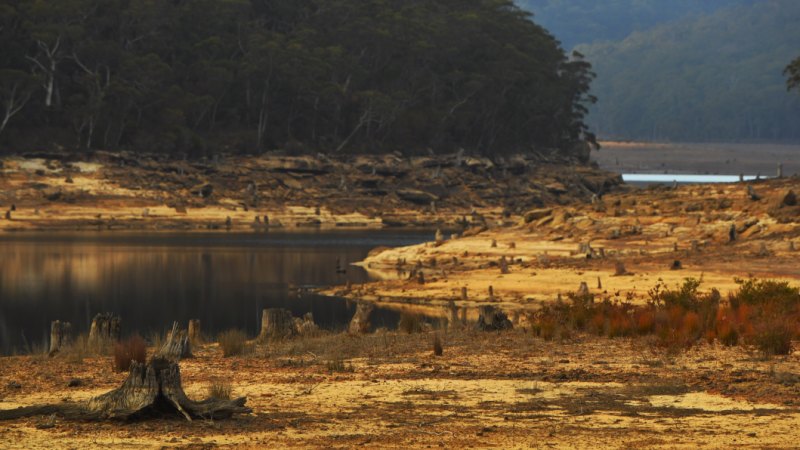 Sydney water restrictions to kick in on June 1 for city as ...