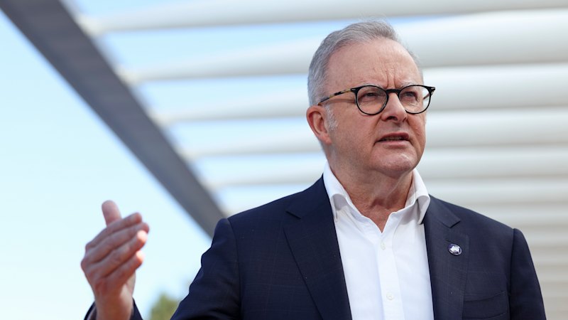 Albanese leaves door open for opt-out AI regime as he visits Apple Park