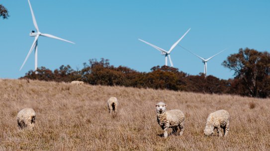 Collector Wind Farm, NSW.