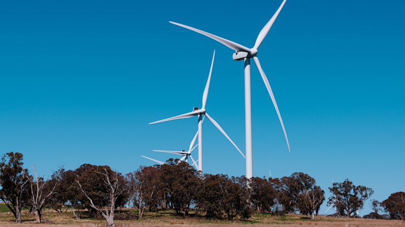 Danish firm approved to help restart Australia’s stalled wind farm pipeline