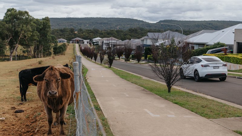 The goalposts have shifted for my suburb. Luckily, we can claim the Socceroos’ new goalkeeper