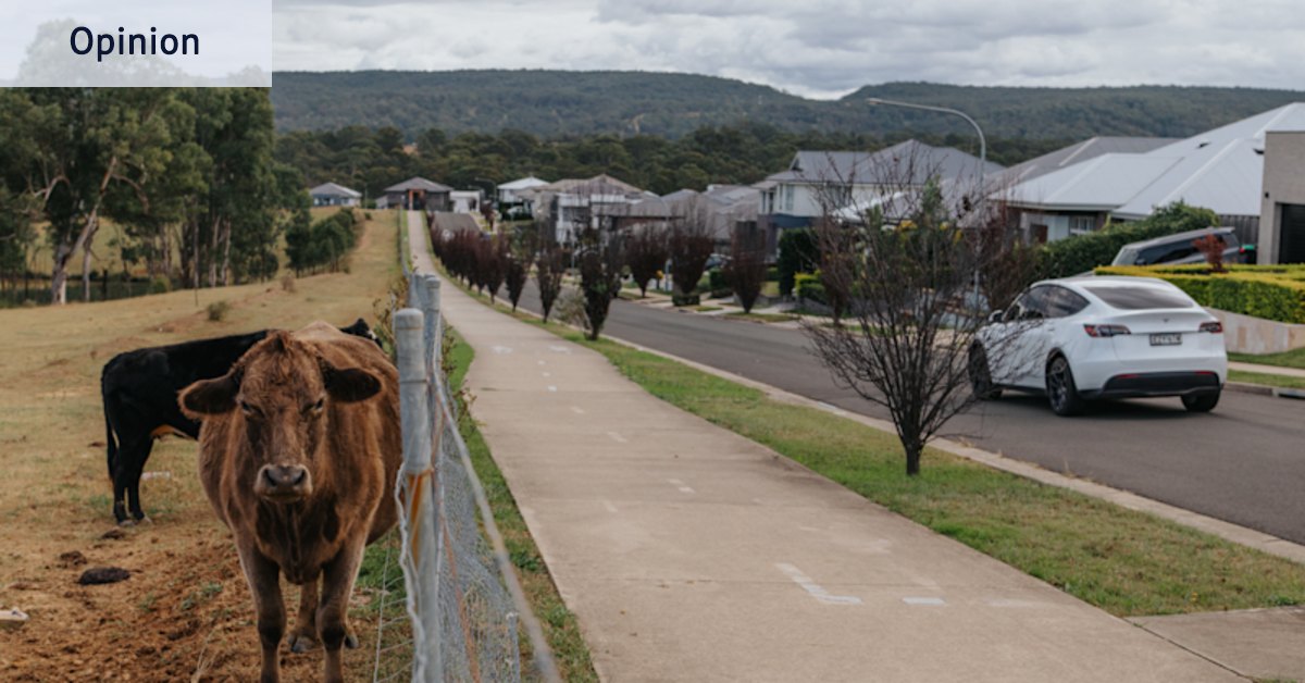 The goalposts have shifted for my suburb. Luckily, we can claim the Socceroos’ new goalkeeper