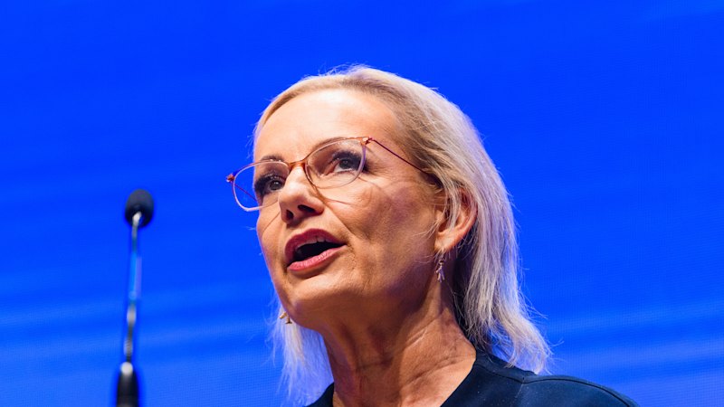 Federal election results 2025 LIVE updates: Liberal elders back Ley for leader as Dutton stays silent; Major blow to Greens as leader Bandt set to lose Melbourne; Tight race in key seats