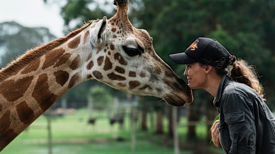 Mogo Wildlife Park zookeeper Sam Ion with Oni the giraffe. Ion was woken at 6am on New Year’s Eve by the news the fire was heading for the zoo. “I knew I had to get there,” she says.
