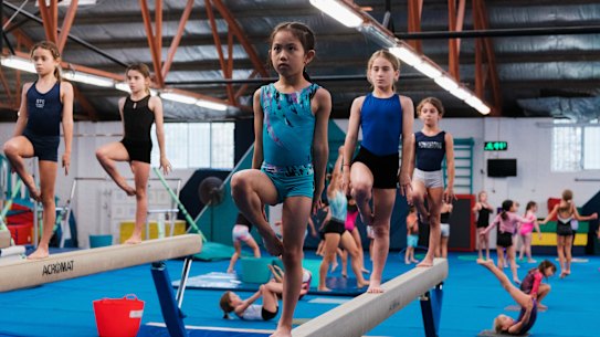The interests of gymnasts, who are mainly girls, had not been properly considered in the design of the Heffron Centre, according to a community sporting group.