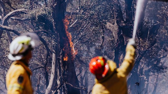 RFS crews mop up after blaze near Range Road, Mummel.