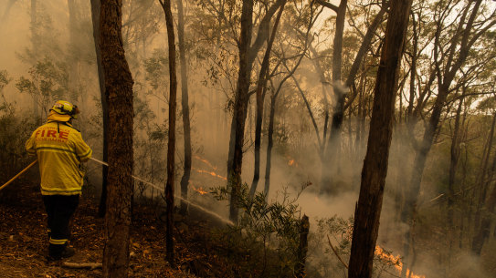 Firefighters conducting backburning at Hill Top, near Bowral.