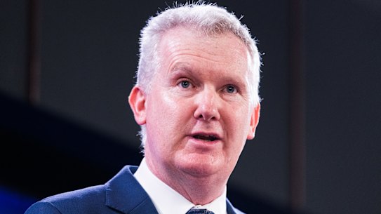 Employment Minister Tony Burke has suggested the federal government will again recommend the minimum wage rise in line with inflation.