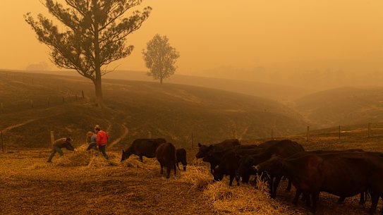 The Evans family count the cost of the fires near Cobargo, where they managed to save their property.