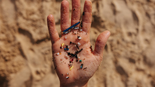 ‘Insidious pollutant’: The microplastic hotspots in Sydney Harbour revealed