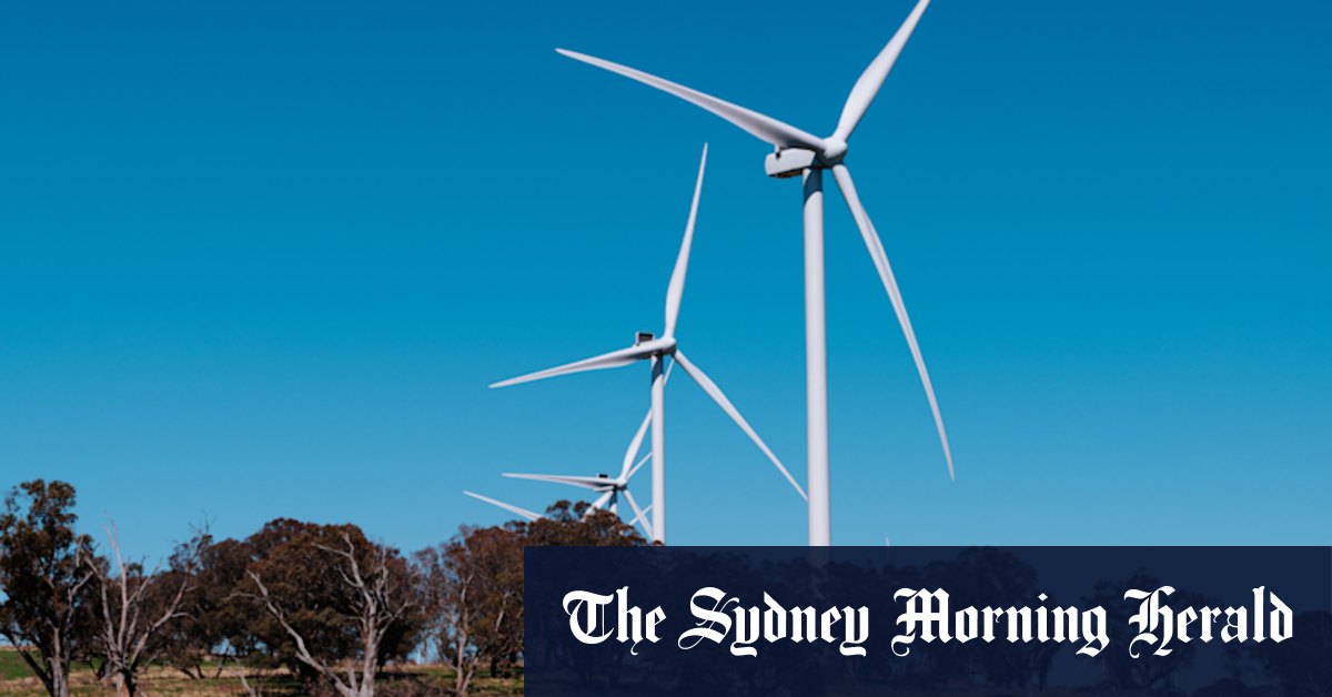 Show us evidence of wind farm whale damage - Vimarsana News