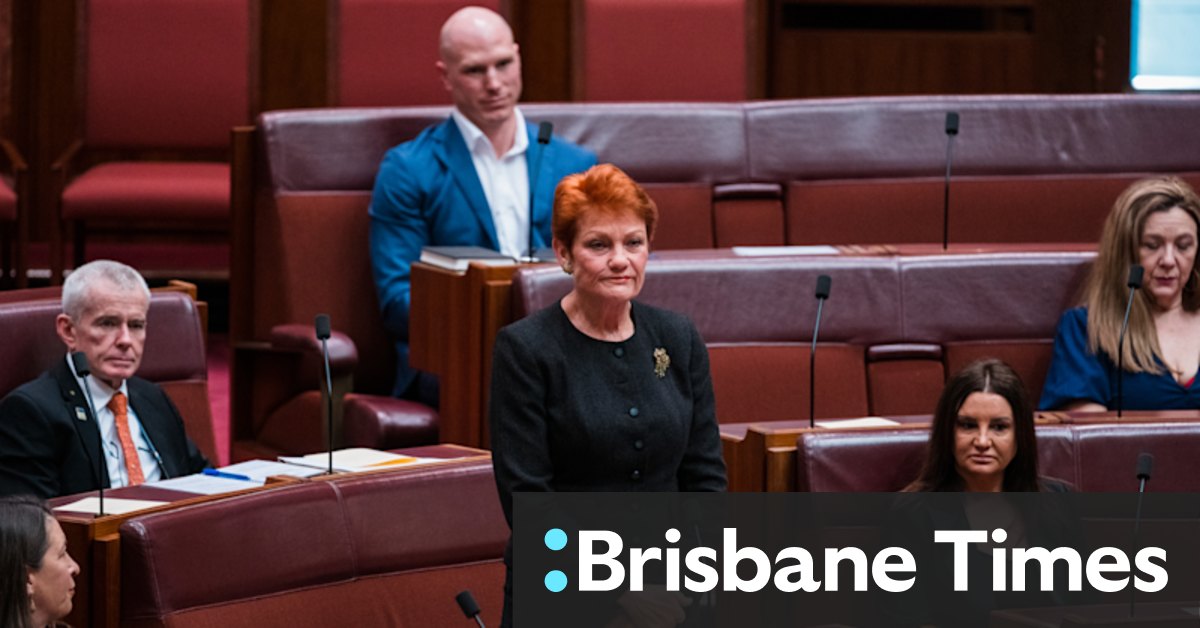 Pauline Hanson's web obsession: Cybersquatting for politics not profit - Vimarsana News