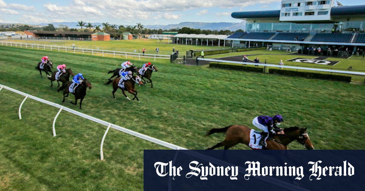 Race-by-race preview and tips for Thursday meeting at Kembla Grange