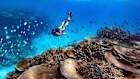 With more than 1000 species of local fish, diving is a must.