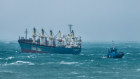 Tugboats worked to rescue a bulk carrier that lost power off the coast of Sydney’s south on Monday.