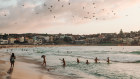 New Year’s Day morning at Bondi.
