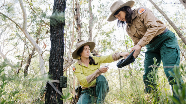 Royal National Park a haven for native species, environmental stocktake shows