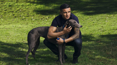 Blue is my colour: Tim Cahill with Luna Moana, his adopted blue greyhound.
