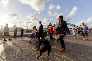 City of Sydney lord mayor Clover Moore takes her dogs Bessie and Buster for a walk in the city. She has long advocated for a more pet-friendly city.