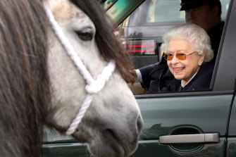 Kraliçe II. Elizabeth, Windsor, İngiltere'deki Home Park'taki The Royal Windsor Horse Show'da Range Rover'ından atları izliyor.