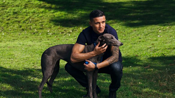 Blue is my colour: Tim Cahill with Luna Moana, his adopted blue greyhound.