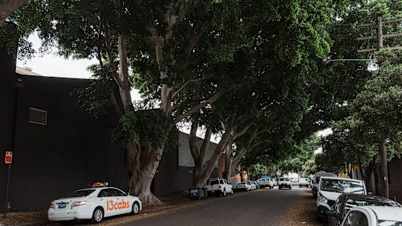 The area features rustic warehouse buildings and towering fig trees. 