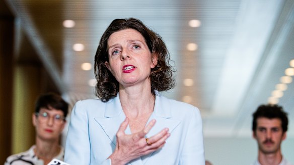 Independent MP Allegra Spender says without tax reform, future generations will suffer.