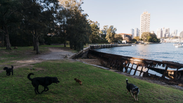 Discarded fish hooks in foreshore parks such as Sawmillers Reserve have been a long-standing concern.