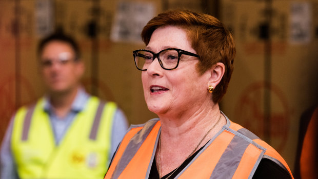Former Foreign Minister Marise Payne is digging in and is unlikely to quit politics.