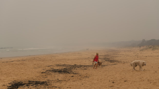 Smoke over Merimbula's foreshore. The town's residents and retailers have suffered heavily through the recent bushfires.