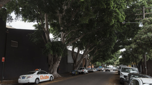 The area features rustic warehouse buildings and towering fig trees. 