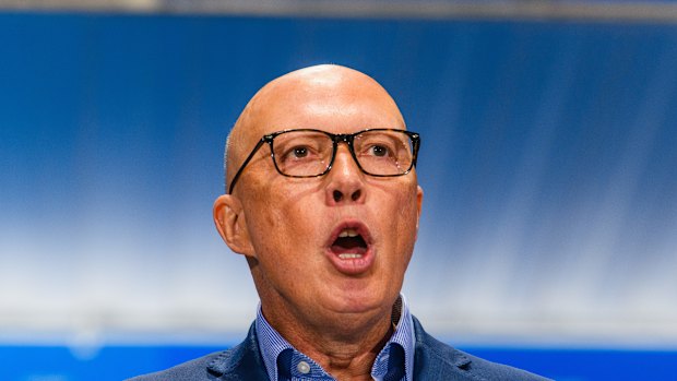 Peter Dutton has promised to cap foreign students, and raise the cost of student visas. 