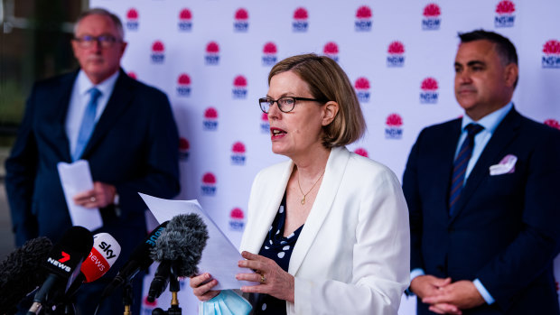 NSW Chief Health Officer Dr Kerry Chant speaks to the media on Wednesday. 